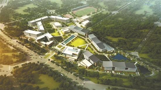 龍頭企業辦職業教育和往昔有什么不一樣?